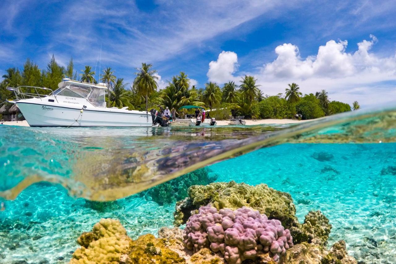 Ninamu Resort Tikehau Eksteriør bilde